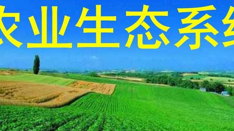 农业产业园规划标准：构建高效生态农业的蓝图**