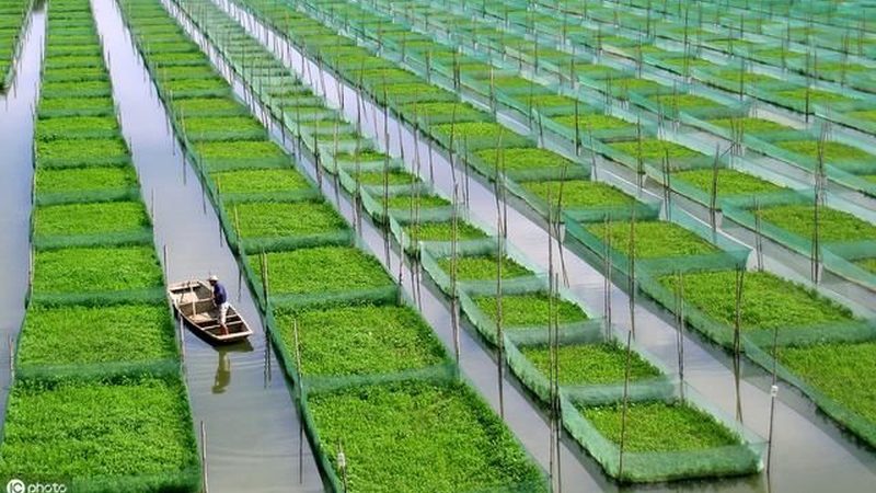 设施农业灌溉系统：性价比高的关键因素解析