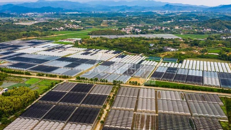2025年农业产业园补贴政策解析：机遇与挑战并存**