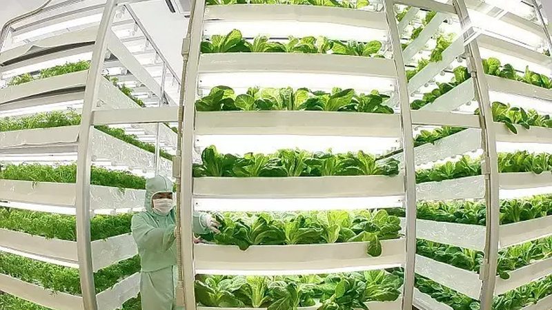 标准玻璃温室大棚：尺寸型号背后的技术考量
