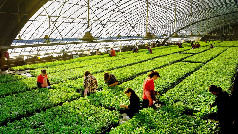 生物防治加盟，如何选择十大品牌？**