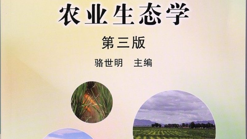 蓝莓种植密度之谜：一亩地需要多少苗？**