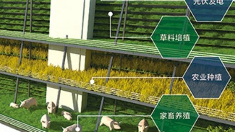 农机专业合作社章程范本：构建规范运营的基石