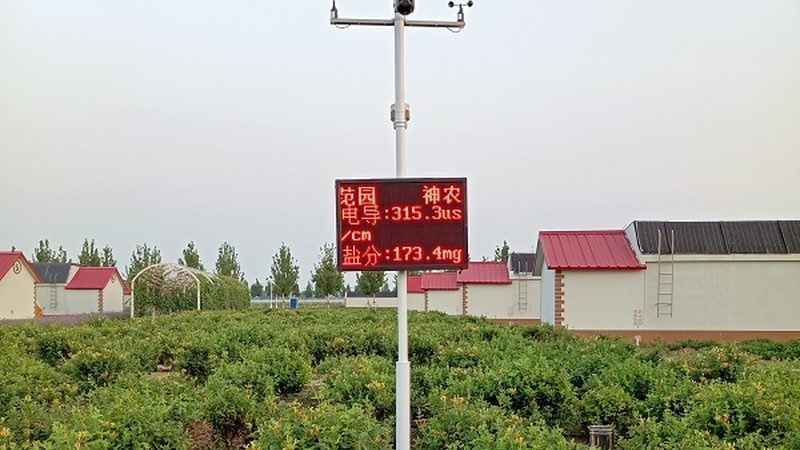 食品企业绿色认证流程解析：从田间到餐桌的绿色守护
