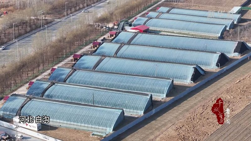 农业项目安装规格型号