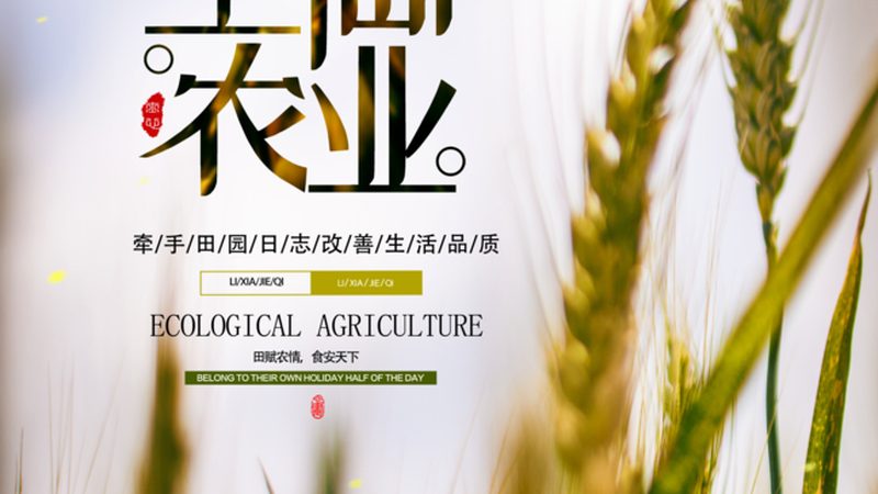 无土农业种植系统：揭秘高效农业的未来趋势